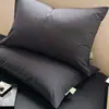 Fundas de almohada lavables seguras para bebés Clase A, juego de 2 piezas, color liso, fundas de almohada individuales engrosadas, un par para uso doméstico, fundas de almohada para dormitorio