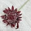 Fábrica Vendas diretas Phoenix cabelo Cardo casa sala de estar decoração suave falsa flor casamento flor artificial fotografia adereços atacado