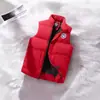 Colete de Algodão com Penas Quente de Venda Cruzada Outono e Inverno, Colete Casual Sem Mangas, Estilo Casal, Compra em Grupo, Gola Alta, Liquidação