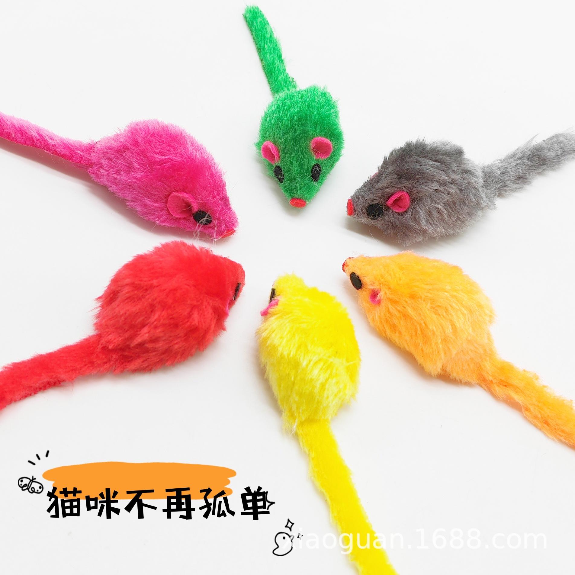 老鼠IMG_20220404_114934_mh164907