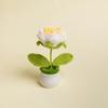 Girassol Acabado Planta em vaso Tecido à mão Buquê de flores Terminado Flor Eterna Dia dos Professores Dia das Crianças Presente Mercado Noturno Stall