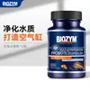 Cápsulas de Bacterias Nitrificantes Baiyinmei para Acuarios, Purificador de Agua, Polvo Seco de Bacterias Nitrificantes, Estabilizador de Agua