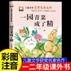 Todas as Coisas 26 Outono: Uma lista de livros imperdíveis para alunos da primeira série no primeiro semestre de língua chinesa, incluindo leitura extracurricular: "O Jardim de Vegetais Verdes Tornou-se Inteligente."
