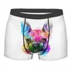 Dropshipping com Fotos Pode Ser Transformado em Cueca Boxer Masculina Elástica Confortável Respirável Estampada com Gato 3D para Animais de Estimação e Cachorros