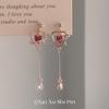 Pendientes de borla de circonita encantadores de estilo dulce con forma de gota de agua para mujer, diseño de nicho lindo, pendientes pequeños que hacen que la cara se vea más larga
