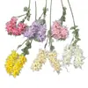 Flor de Poinciana Artificial Transfronteiriça Flor de Feijão de Rattan Decoração de Casamento Flor Flor de Glicínia Teto Celebridade da Internet Parede Flor Artificial Atacado