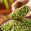 Frijoles mungo frescos de granja, productos de temporada nuevos, frijoles mungo en bolsas pequeñas, papilla de frijol mungo, pastel de frijol mungo, ingredientes para batido de frijol mungo