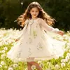 2026 Artículo popular de TikTok Verano Temu nuevo vestido de manga larga para niña vestido de princesa bordado estampado
