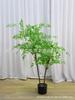 Nantianzhu planta verde artificial de luxo de alta qualidade luz artificial árvore planta interior grande flor decorativa sala de estar decoração em vaso atacado