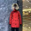 Parka Rossclair2580L Jaqueta de Penas de Ganso Grande 28 Smoking Feminina Comprimento Médio Cintura