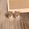 Aretes de Perla para Mujeres Sin Perforaciones, Pendientes de Nuevo Estilo 2025, Lujo Accesible Diseño de Nicho, Pendientes de Gama Alta