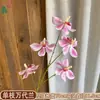 Venta al por mayor transfronteriza de orquídeas Bandai: Orquídeas artificiales Bandai de alta calidad, perfectas para decoraciones de bodas, arreglos de hibiscos y ramos de novia