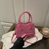 Bolso de Mano de Lana de Cordero de Alto Valor de Nicho Otoño e Invierno 2025 Nuevo Bolso Cruzado de Lujo Ligero para el Trabajo Bolso de Piel Bolso de Mujer de Moda