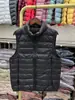 2026 Nuevo Estilo Otoño Chaleco Delgado de Plumas para Mujer Corto 90 Pluma de Pato Blanca Talla Grande Casual Versátil Chaleco de Cuello Alto Ropa Interior