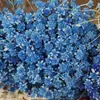 Flor de montanha pequena buquê de flores secas decoração luz luxo high-end diy material real flor air-dried importado espécime material de flor