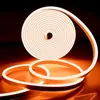 Tira de Luz de Neón Sxzm 12V 2835 con 120 Luces, Bajo Voltaje, Alto Brillo, Tira de Luz de Neón Flexible para Modelado DIY en Stock
