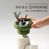Pedra Difusora de Aromaterapia Sem Chama Caixa de Presente de Luxo Fragrância Duradoura Purificador de Ar para Casa e Hotel Refil de Aromaterapia