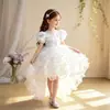 Vestido de gala transfronterizo para niñas con mangas abullonadas de rosa tridimensional y una falda grande y esponjosa para actuaciones de cumpleaños y piano de niñas, al por mayor