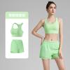 Conjunto Esportivo de Duas Peças Feminino Anti-Brilho de Secagem Rápida Shorts de Yoga Costas em I Sutiã Esportivo com Bojo Fixo à Prova de Choque