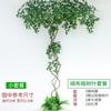 Planta de simulación, árbol de Sakura, ratán, paisaje de boda, planta verde, árbol muerto, enredadera, árbol falso, enredadera de hojas verdes, decoración de interiores, tubería