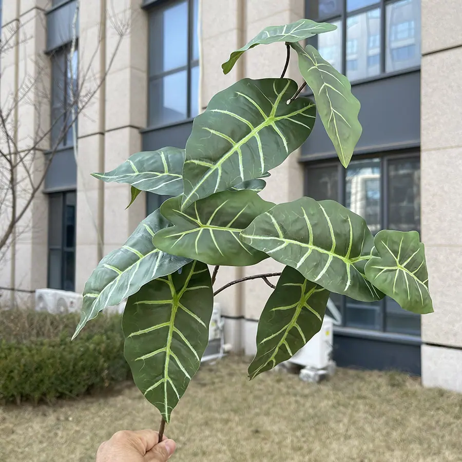 3叉11头加密绿植-黄绿纹芋叶.JPG
