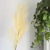 Popular Grama Pavão de 7 Galhos Fogos de Artifício Artificiais Decoração Flores de Grama de Juncos Coloridas Pena Rosa Branco Fogos de Artifício Diurnos Véspera de Ano Novo