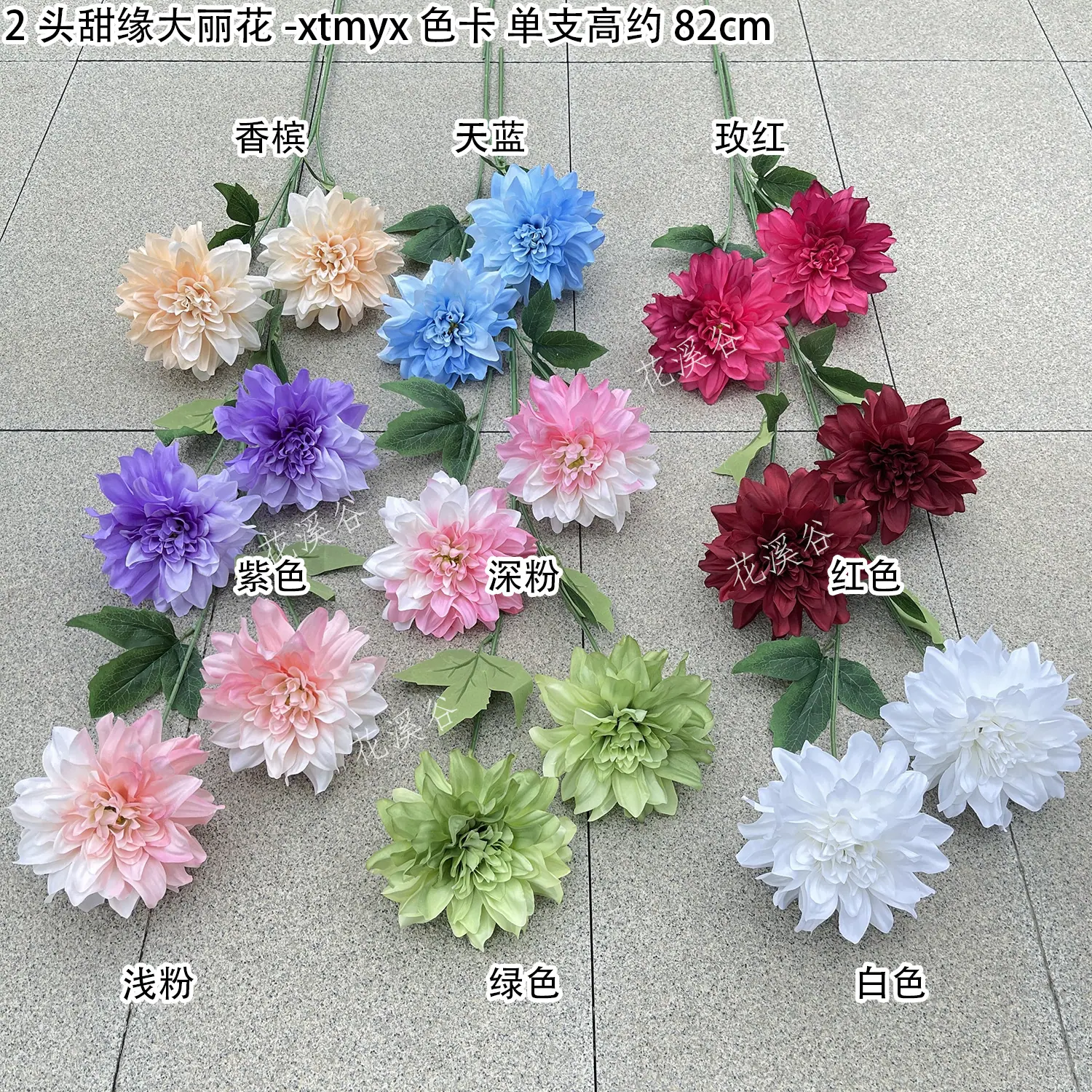 2头甜缘大丽花-xtmyx 色卡 花溪谷.jpg