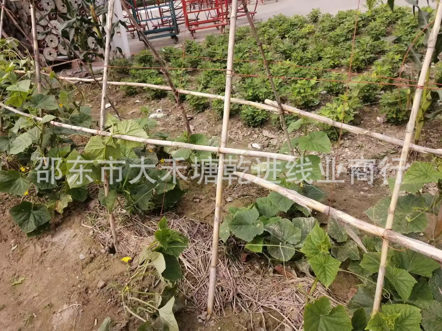 微信图片_20250905214424_10_108.jpg