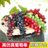 Uva con escarcha de fruta de simulación, tacto real, plástico, racimo de uvas artificiales, accesorios para disparar, racimo de uvas decorativo de ratán para el hogar