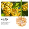 Pastillas de fragancia de yeso de flor de begonia para fragancia interior de larga duración, colgador de fragancia de alta gama para armario, colgante de fragancia para armario