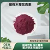 Antocianina de Saúco 25% Antocianósidos de Saúco Extracto de Fruta de Saúco Disponible en Stock