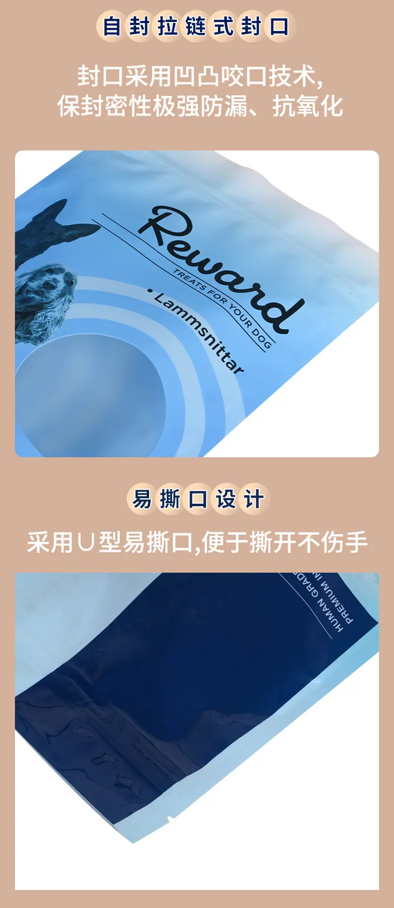 宠物_04.jpg