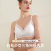 [Procesamiento Personalizado] Sujetador de Seda Pecho Pequeño Verano Ligero Ropa Interior para Mujer Estilo Japonés Sin Varillas Sin Costuras Sujetador de Seda de Morera