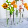 Tubo de Ensayo de Vidrio Transparente Estilo Ins Nórdico Jarrón Hidropónico Suministro Transfronterizo Planta Floral Decoración del Hogar Jarrón para Arreglos Florales