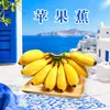 Plátano Manzana de Guangxi, envío directo 2/3/5/ 4.5kg piezas, plátano dulce y suave madurado naturalmente, fruta fresca