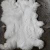 Processamento do Fabricante Pelo de Coelho Artesanato de Pelo de Coelho Acessórios para Roupas de Performance Joelheiras Pele de Coelho Cozida Folha Inteira