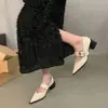 2026 Nuevos Zapatos de Cuero Pequeños Mary Jane con Punta Afilada Estilo Viento de Primavera Otoño Invierno Zapatos de Tacón Grueso Individuales Zapatos de Mujer