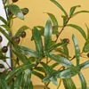 Adereços de Simulação Ramo de Oliveira 4 Garfos Folha de Oliveira Flor Artificial Decoração de Piso para Casa Decoração Estilo Europeu Folhas de Planta de Simulação