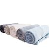 Estoque cobertor atacado cobertor transparente flanela coral lã comércio exterior leite lã cobertor para animais de estimação lençóis ouro vison lã