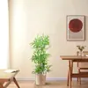 Decoração de Interiores de Bambu Tela Divisória Falsa de Bambu Parede de Contenção Paisagismo Decoração Externa Plantas de Bambu em Vasos Plantas Verdes Criptografadas