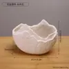Vaso Hidropônico Cerâmico Irregular Criativo Design Moderno Minimalista para Decoração de Casa Formato de Ovo para Cultivar Plantas Verdes