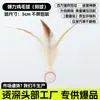 Juguetes para Gatos para Entretenimiento Propio y Alivio del Aburrimiento, Nueva Bola Elástica Transfronteriza con Pluma Suministros para Mascotas, Juguetes para Gatos al por Mayor y Dropshipping