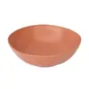 Tazón de Arroz de Paja de Trigo Hogareño de Plástico Irregular Tazón de Arroz Tazón Fragante de Trigo Tazón de Plástico Resistente a Caídas Venta al por Mayor Transfronteriza