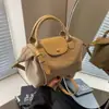 Bolsa Casual de Luxo Leve de Alta Qualidade Nova para Mulheres Bolsa de Bolinho de Tecido de Nylon Leve para Trabalho e Deslocamento Bolsa Transversal de Ombro