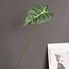 Folha simulada Monstera Folha de pavão preto fornecimento no exterior escandinavo Home Model Room Wedding Landscape Design Decoração