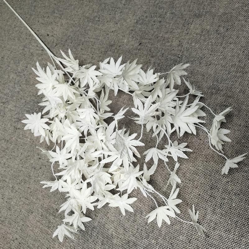 白色