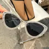 Gafas de sol de ojo de gato de moda europea y americana, estilo nuevo, personalizadas con incrustaciones de diamantes, gafas de sol decorativas de alta gama para mujer, estilo callejero, tendencia