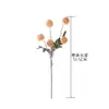 Fabricante de Dientes de León Estilo Ins Flores Artificiales Flores Falsas Plantas Verdes Venta al por Mayor Decoración de Bodas Manualidades Transfronterizo