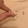 Pendientes de Circonita Super Brillantes, Tornillos de Acero de Titanio, Pendientes Planos con Cierre de Rosca, Pendientes Sencillos Multicolor para Mujer