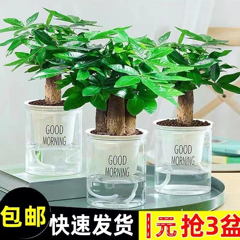 微信图片_20221017214551